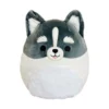 JAZWARES Squishmallow 8 Inch Paolo The Pomsky Plush Toy